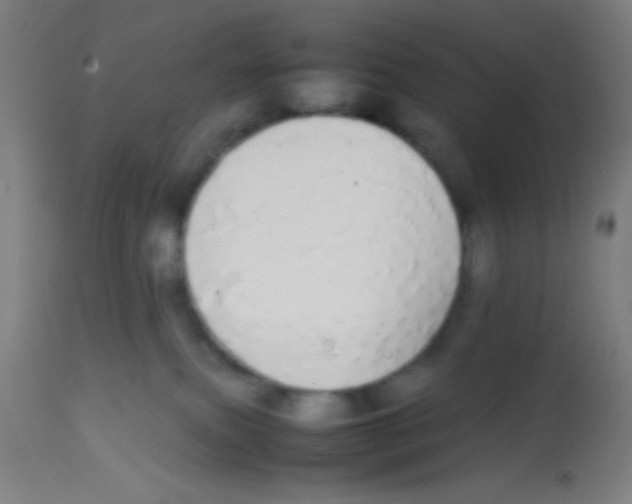 X0000113850087200910221428