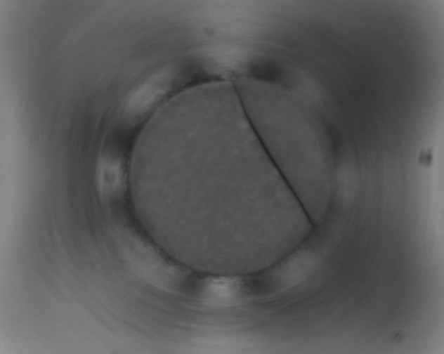 X0000113850088200910221428