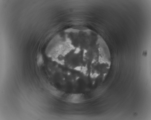 X0000113850089200910221428