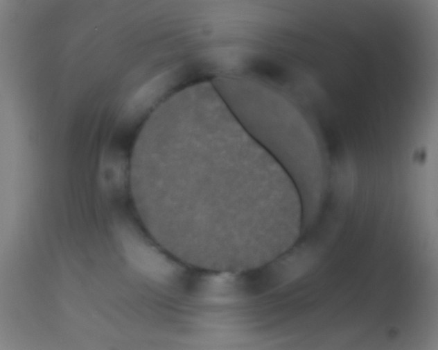 X0000113850092200910221428