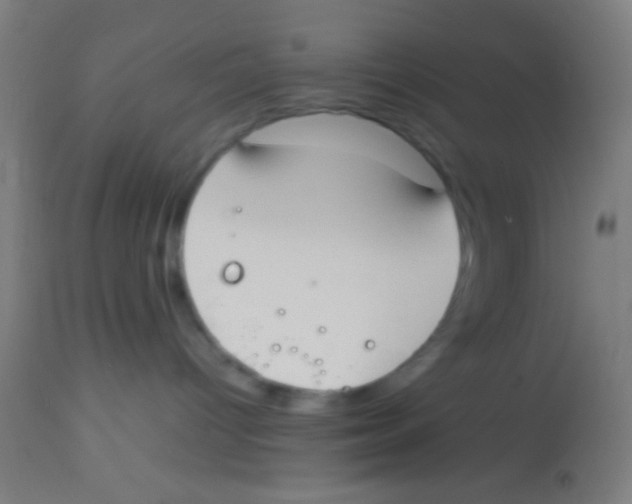 X0000113850096200910221428