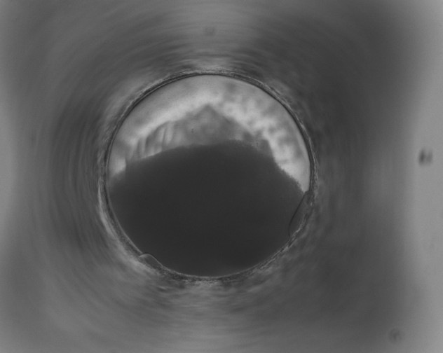 X0000113850097200910221428