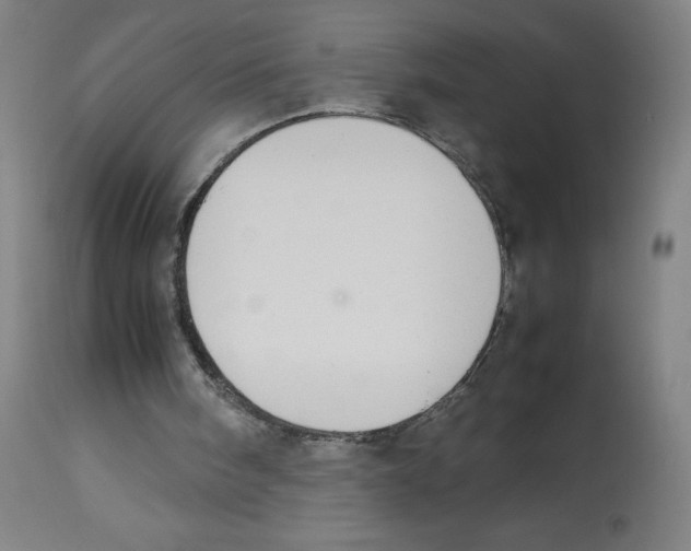 X0000113850098200910221428