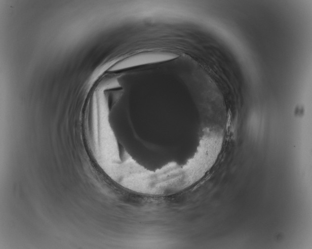 X0000113850099200910221428