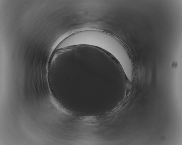 X0000113850100200910221428