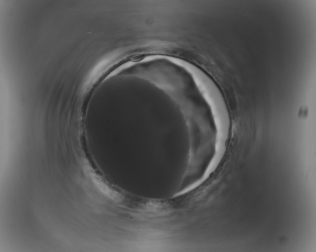 X0000113850101200910221428