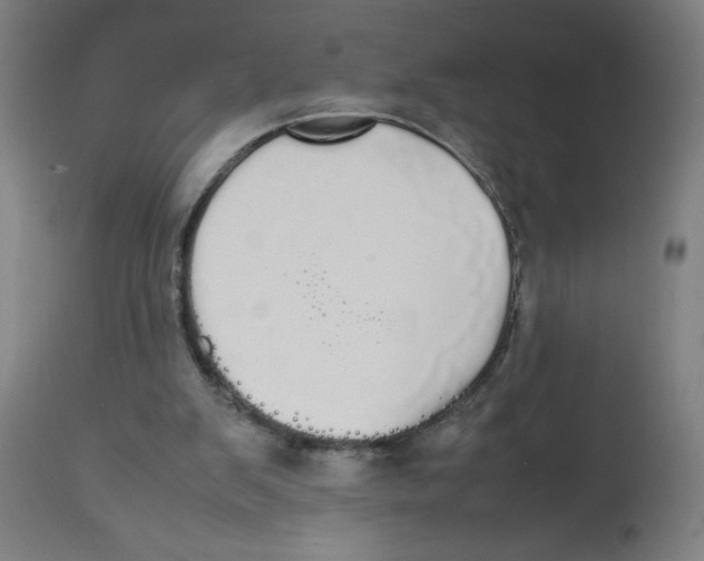 X0000113850103200910221428