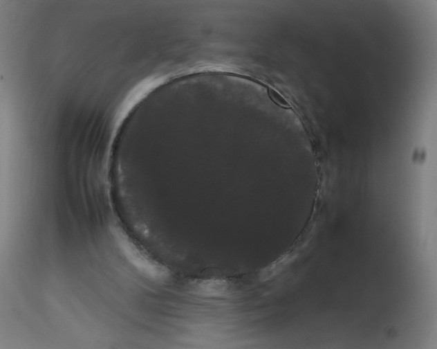 X0000113850104200910221428