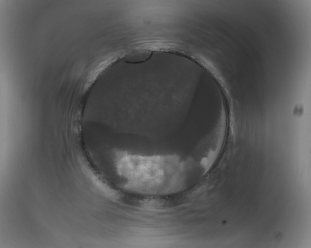 X0000113850105200910221428