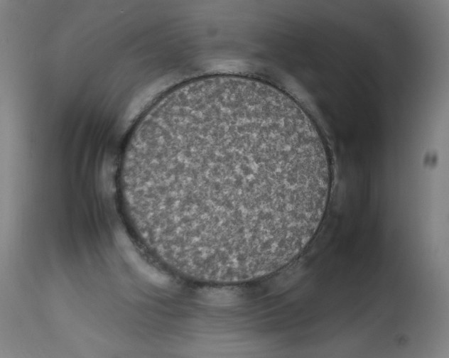 X0000113850106200910221428