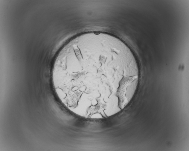 X0000113850107200910221428