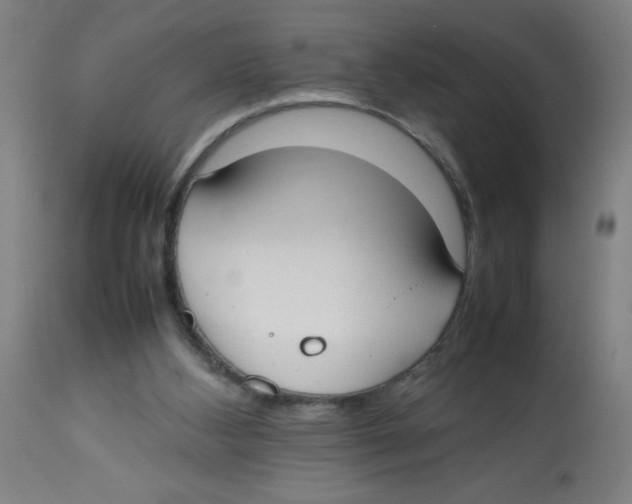 X0000113850108200910221428