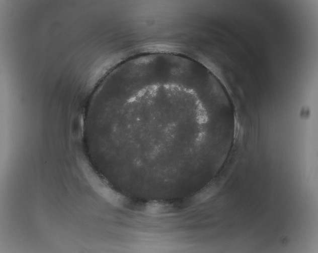 X0000113850109200910221428