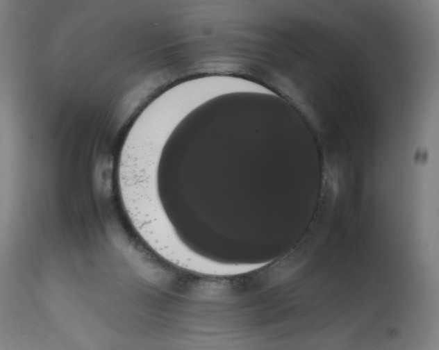 X0000113850110200910221428