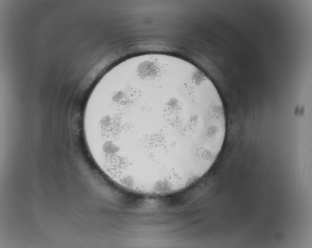 X0000113850111200910221427