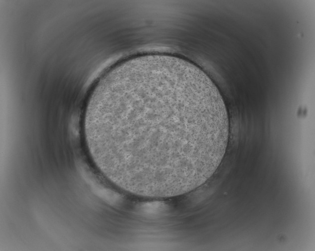 X0000113850112200910221427