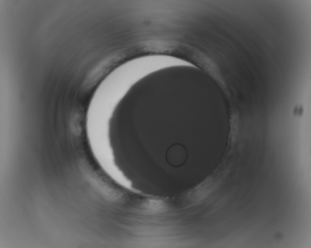 X0000113850114200910221427