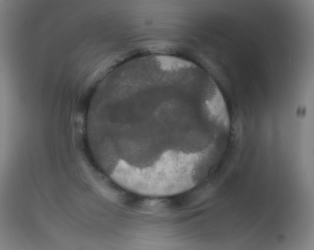 X0000113850117200910221427