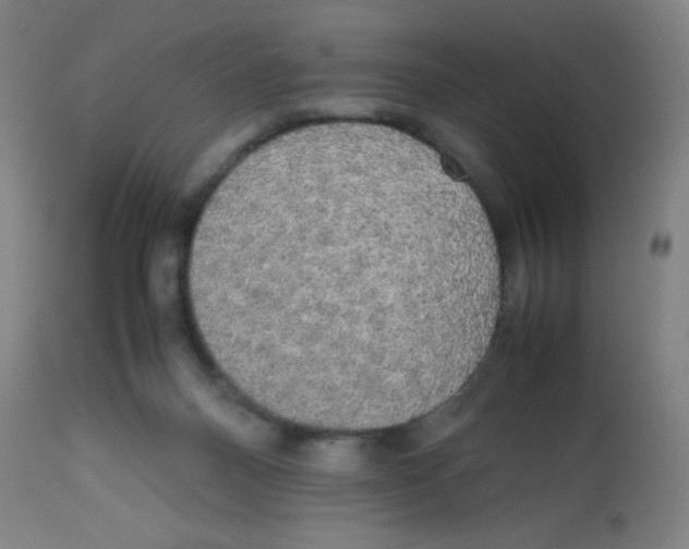 X0000113850120200910221427