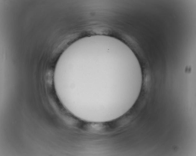 X0000113850121200910221427