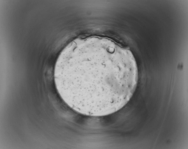 X0000113850123200910221427