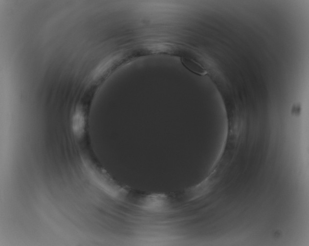 X0000113850124200910221427