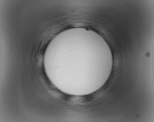 X0000113850125200910221427