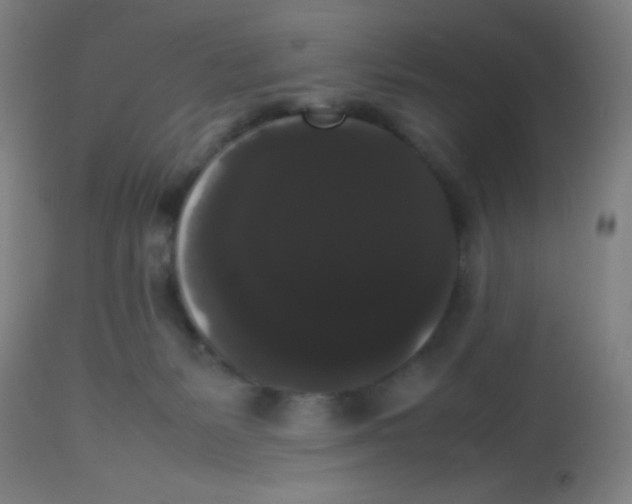 X0000113850127200910221427