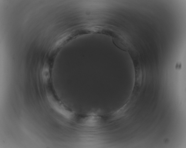 X0000113850128200910221427