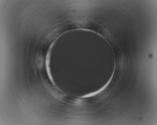 X0000113850130200910221427