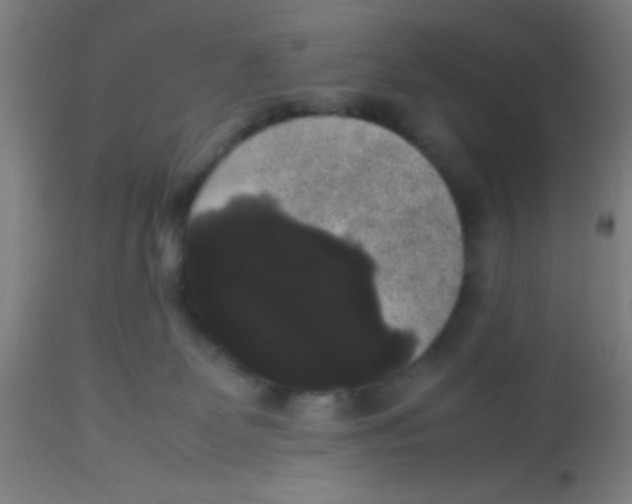 X0000113850131200910221427