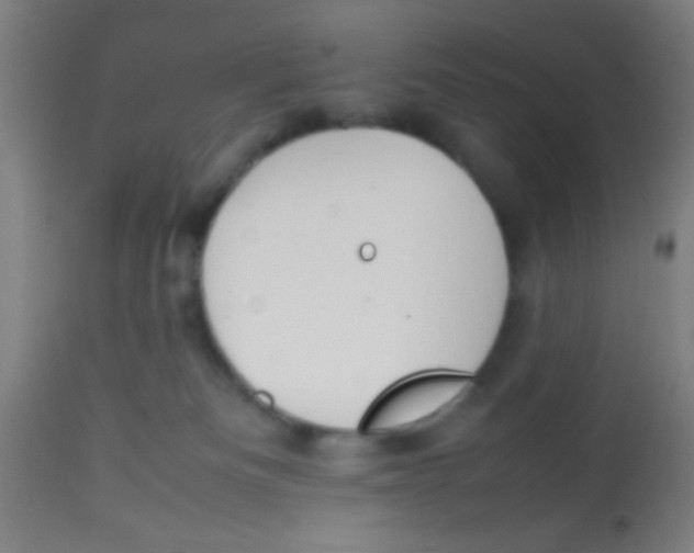 X0000113850133200910221427