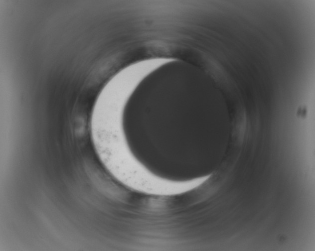 X0000113850134200910221427