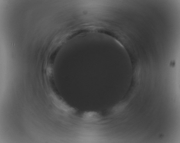 X0000113850137200910221427