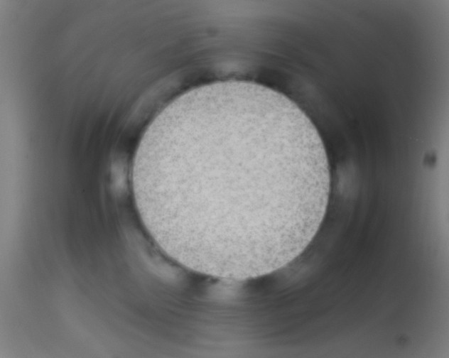 X0000113850138200910221427