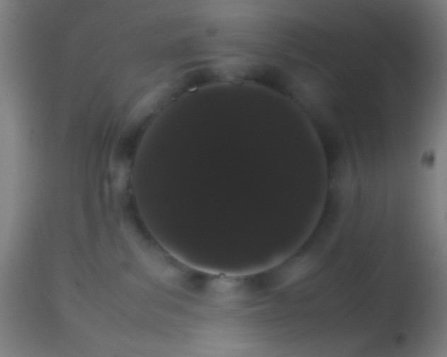 X0000113850139200910221427