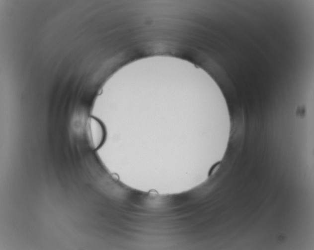 X0000113850142200910221427