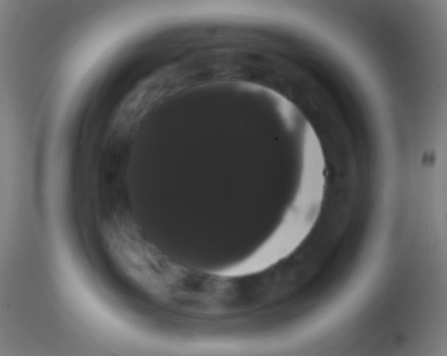 X0000113850143200910221427