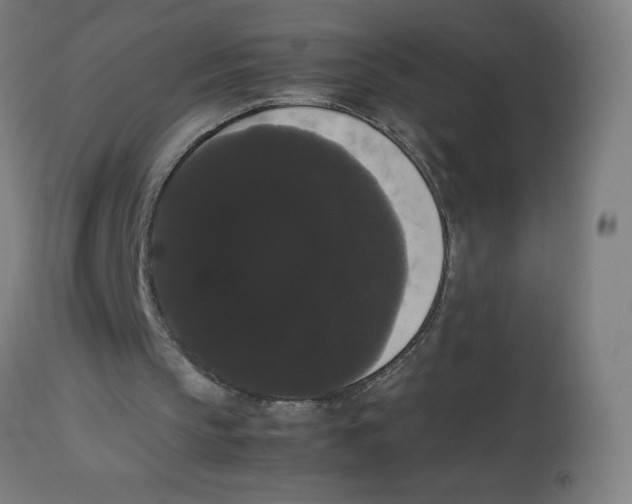 X0000113850145200910221426