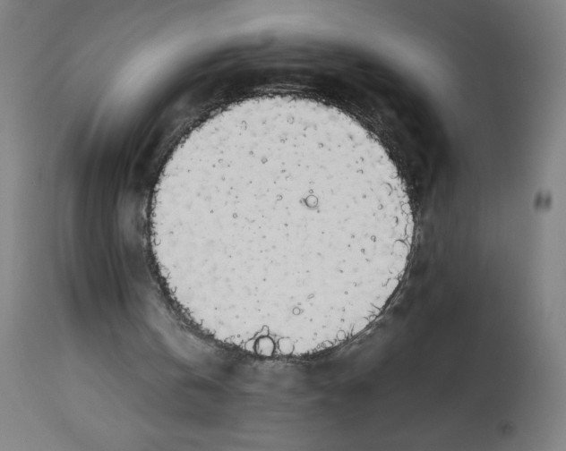 X0000113850146200910221426