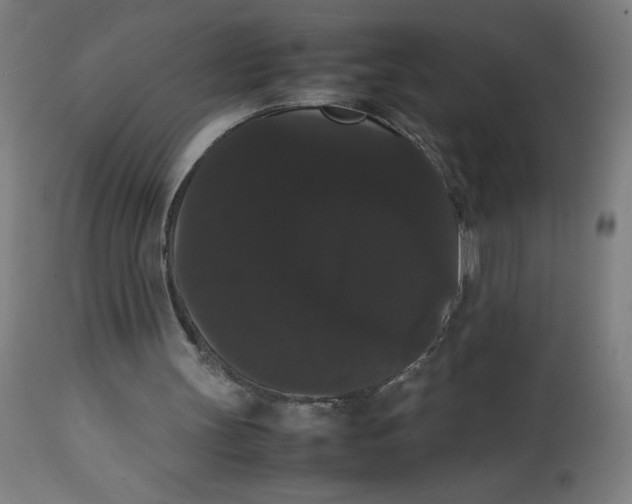 X0000113850147200910221426