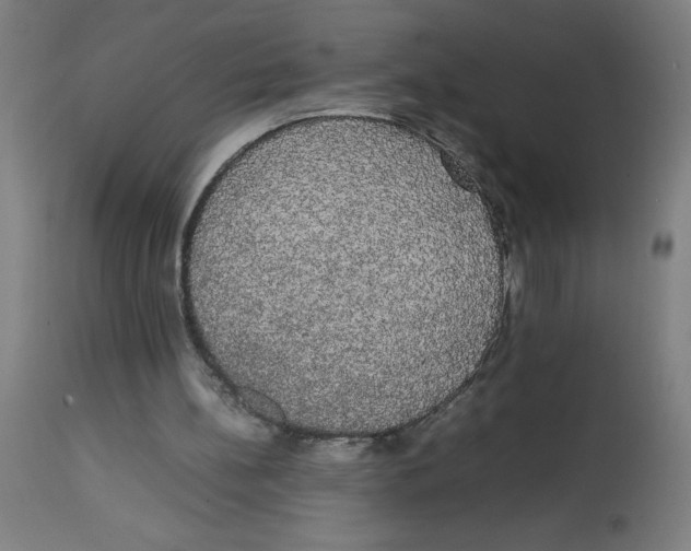 X0000113850148200910221426