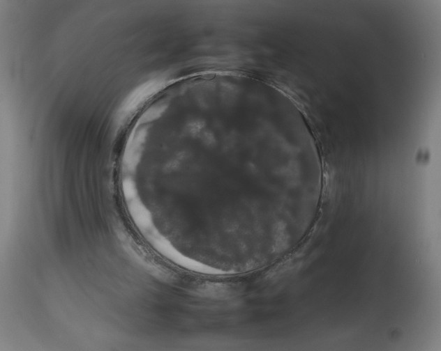 X0000113850149200910221426