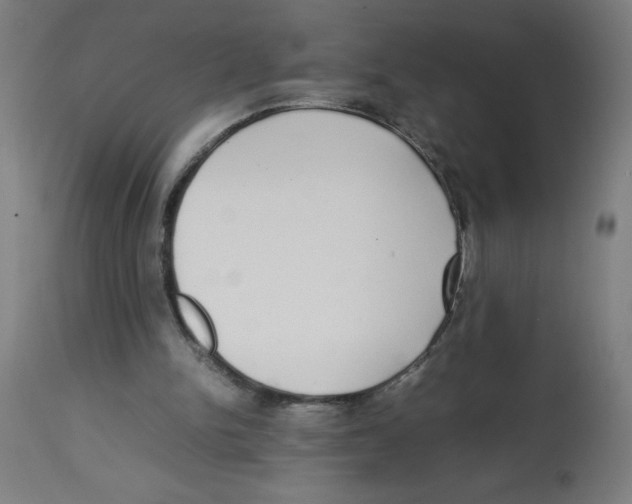 X0000113850150200910221426