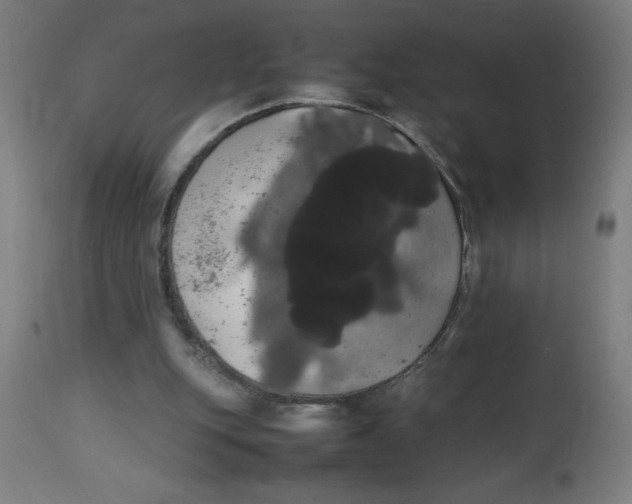 X0000113850151200910221426