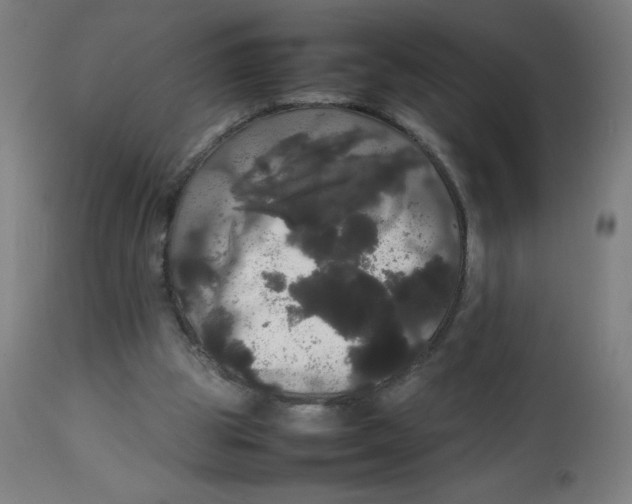 X0000113850153200910221426