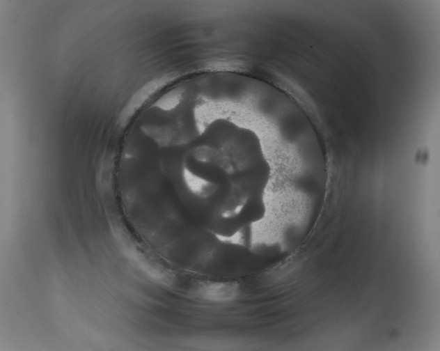 X0000113850155200910221427