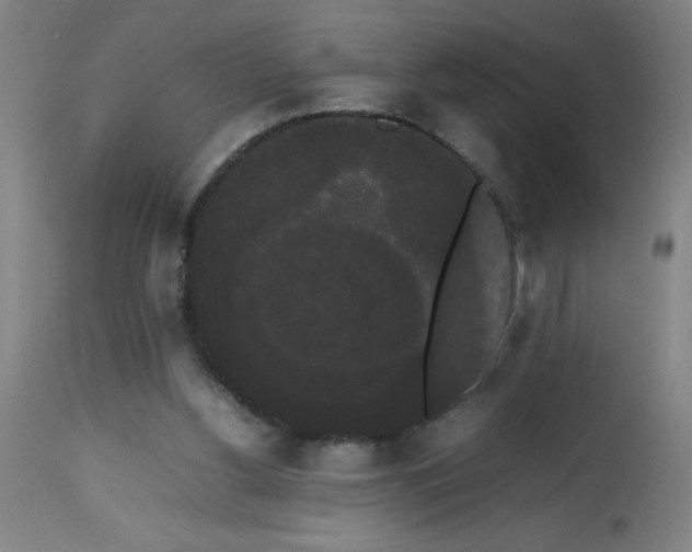 X0000113850156200910221427