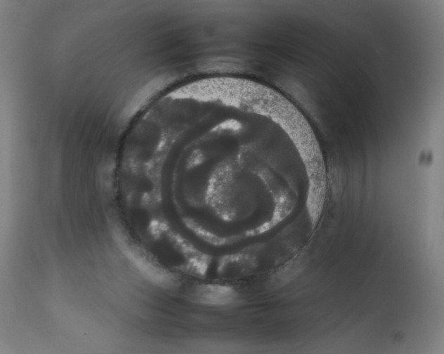 X0000113850159200910221427