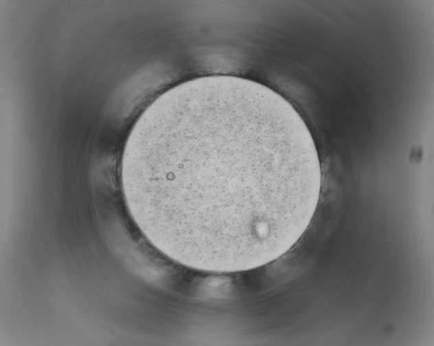 X0000113850162200910221427